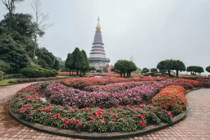 จัดสวนดอกไม้อย่างสวยงาม