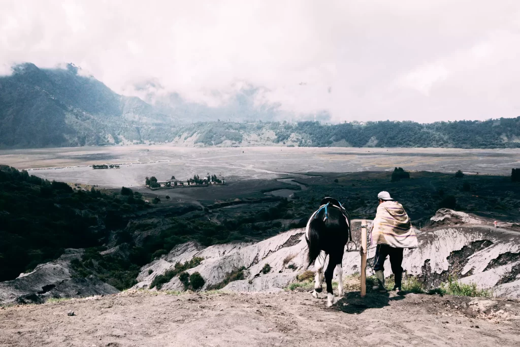 มีบริการให้เช่าม้า