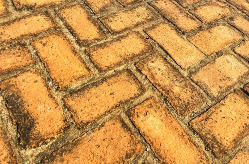 พื้นปูด้วยอิฐตัวหนอน