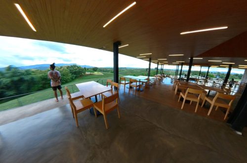 ไร่ชาฉุยฟง