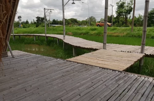 จอนนี้ฟาร์มสเตย์